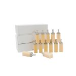 sirona cerec pmma blocks